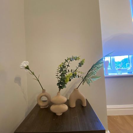Extra Large Room In New House At Citywest Dublin Zewnętrze zdjęcie